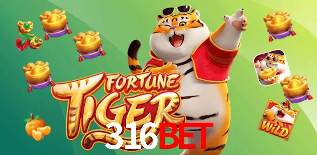 Football Betting 316bet